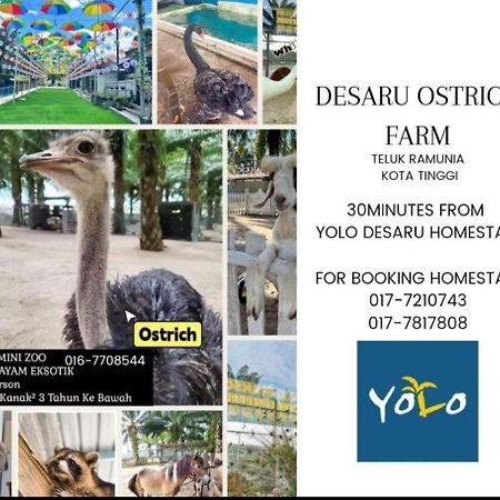 Desaru Homestay-Eva Villa Pool Homestay By Yolo Resort Bandar Penawar 外观 照片