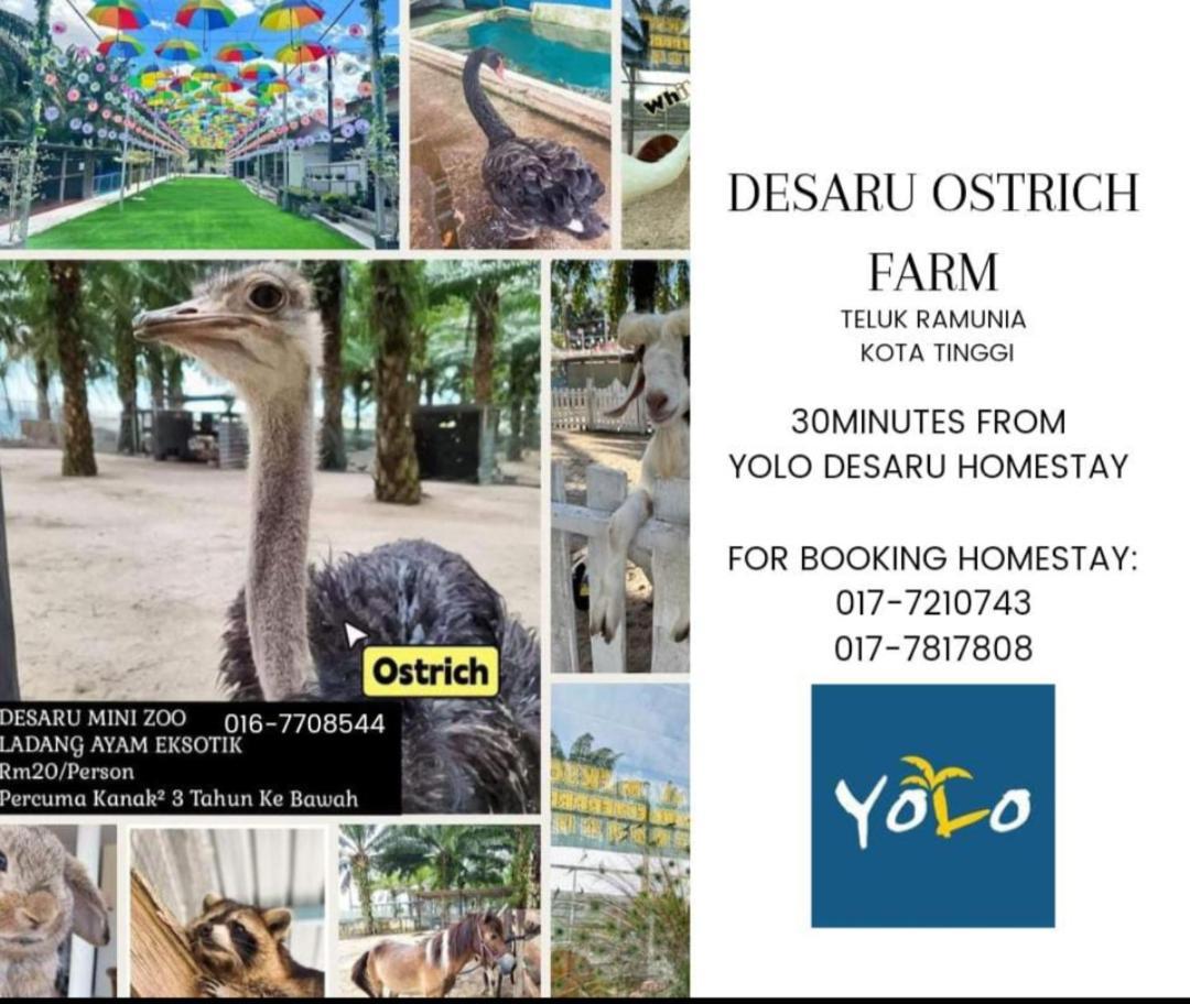 Desaru Homestay-Eva Villa Pool Homestay By Yolo Resort Bandar Penawar 外观 照片